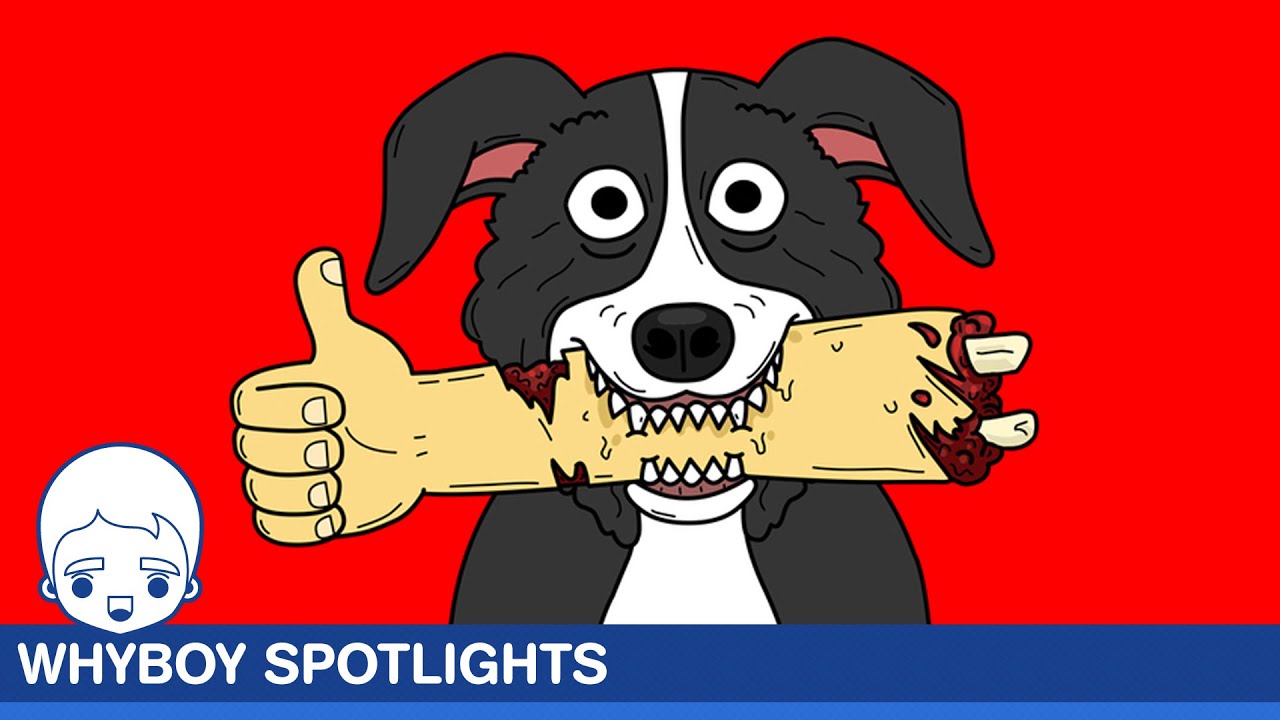 Review: Mr. Pickles Episode 1 – Demonic Lassie Meets Superjail