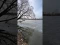 Старица Москва реки 8 апреля #фишермания #рыбалка #youtube #shorts #фидер