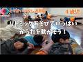 【4歳児】リトミックあそびでいっぱいからだを動かそう!
