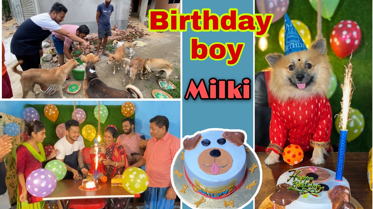 Milkir জন্মদিনে সারাদিনের কি কি করলো মিল্কি