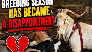 Farming can be disappointment #farming #goals #goats 