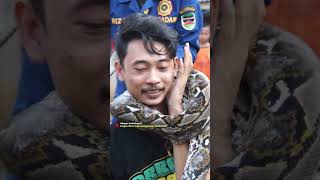 NGERII!! RAY DI LILIT ULAR PYHTON