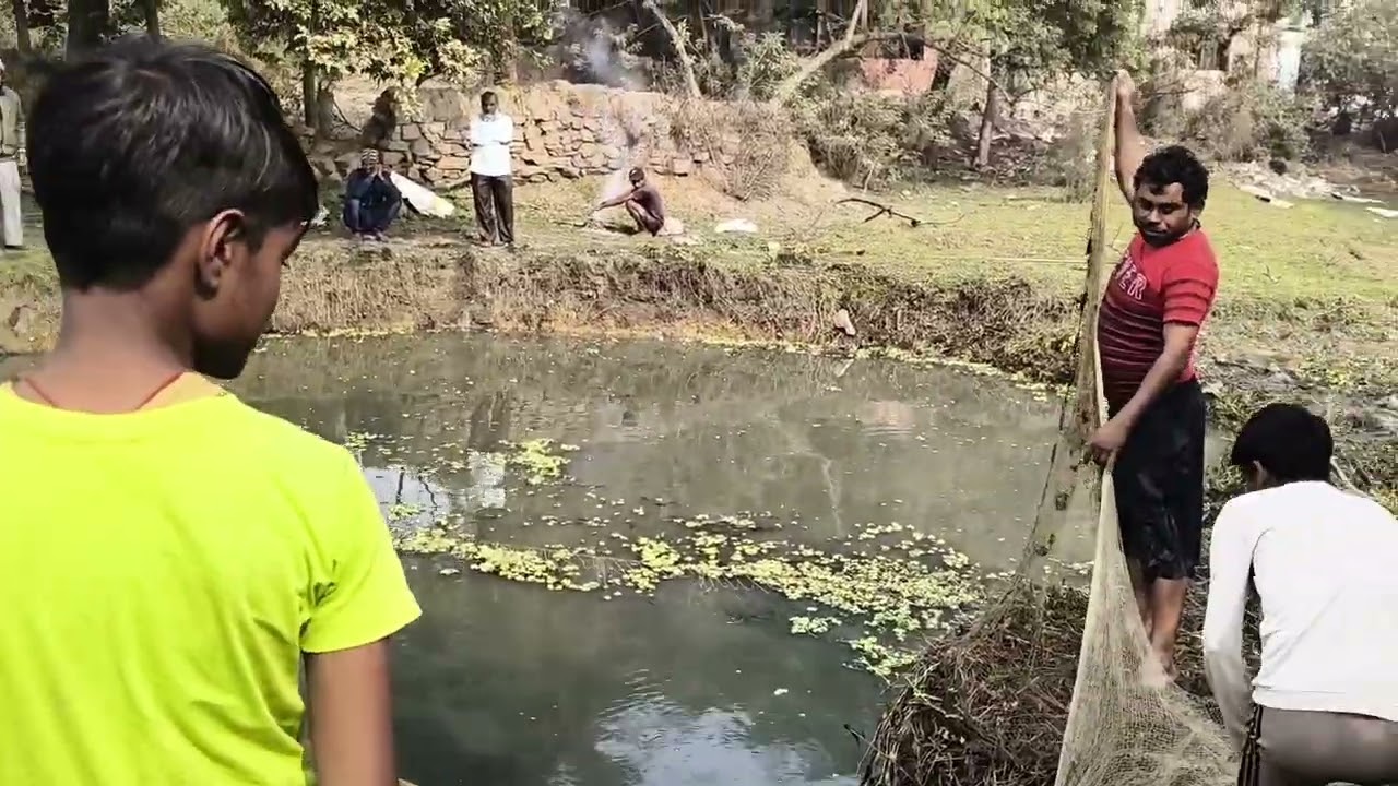 छोटे तालाब में मछली 🐟🐟 पकड़ रहे लोग ।।