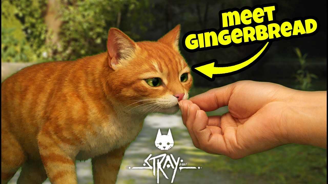 I CAN FINALLY BE A CAT | Stray pt. 1