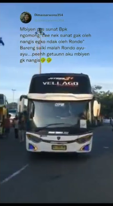 story' wa kata-kata STJ vellago#lucu_abiz