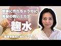 [ Workshop ] 簡単すぎる！？　麹水の作り方 ＆ 麹菌のおはなし