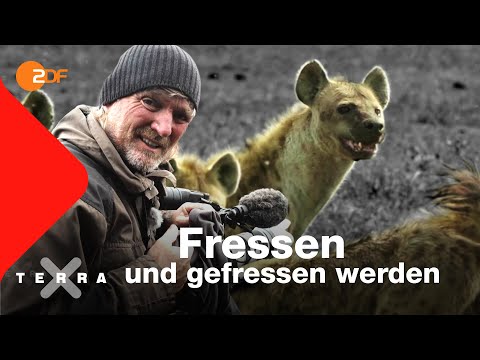 Kreislauf des Lebens? | Andreas Kieling | Ganze Folge | Terra X