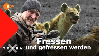 Kreislauf des Lebens? | Andreas Kieling | Ganze Folge | Terra X
