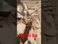 hathi ka dant uthaya Adam #funny #roundtwohell #comedy #trending #funnycomedy #shortsviralviralvideo