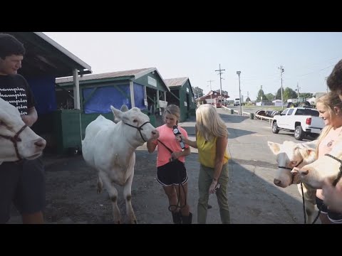 Chuckey Doak High School FFA Team at the Fair