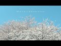 RAY - 春なんてずっと来なけりゃいいのに / I see the light (Official Music Video)