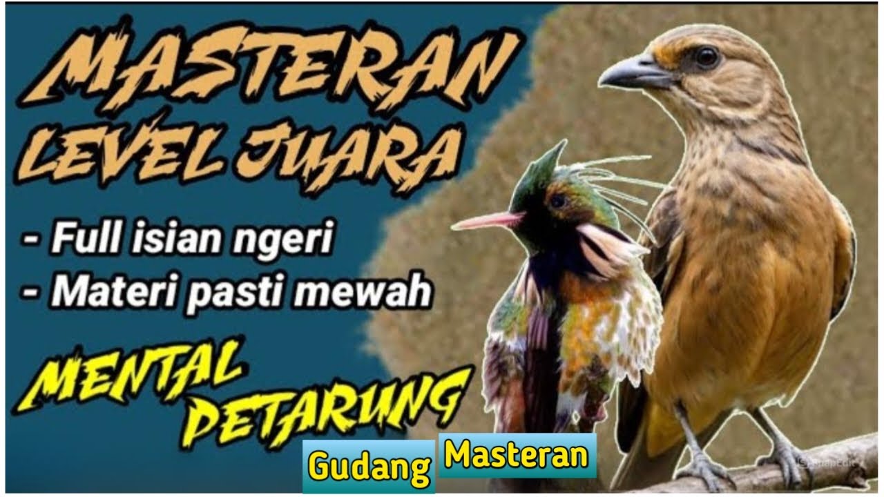 TEMBAK PANJANG DAN RAPAT MASTERAN BURUNG PALING DI CARI JURI TERBAIK 2025