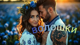 картинка: Волошки I Пісня про любов  I Поле волошок