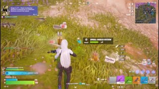 My luckiest Fortnite Victory Royal!