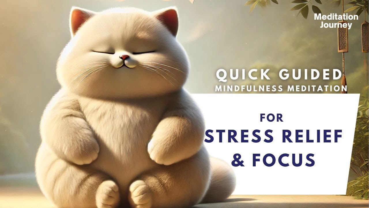 Quick Mindfulness Meditation for Stress Relief & Focus - YouTube