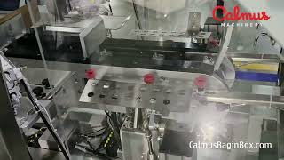 Bag-in-Box & Pillow Pack Filling Machines – Complete Line Solutions