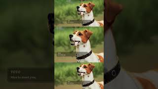 df54fe15 56fc 4117 8dcd a3d1f97f56ce