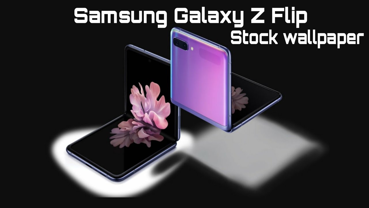 Samsung Galaxy Z Flip Stock Wallpapers [QHD+] with download link - YouTube