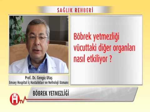 BÖBREK HASTALIĞI VE BÖBREK YETMEZLİĞİ NEDİR? NASIL TEDAVİ EDİLİR?