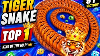 BIG TIGER SNAKE! TOP 1 in WORMS ZONE IO 
