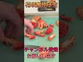 花咲蟹捌き方#short #shorts #new #fish #japan #howto #おすすめ #簡単 #料理 #釣り #楽しい #美味しい