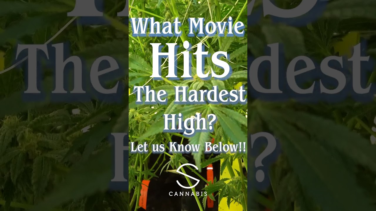 New Question of the Day! What Movie Hits the Hardest High? #stabilitycannabis #stability.cannabis