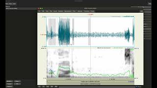 Praat_Acoustic Voice Ax_01_Default Setting in Praat