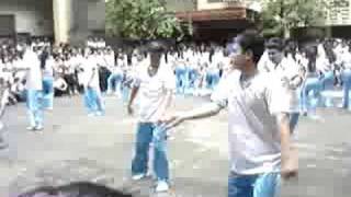 blue brains,,,, lsdp