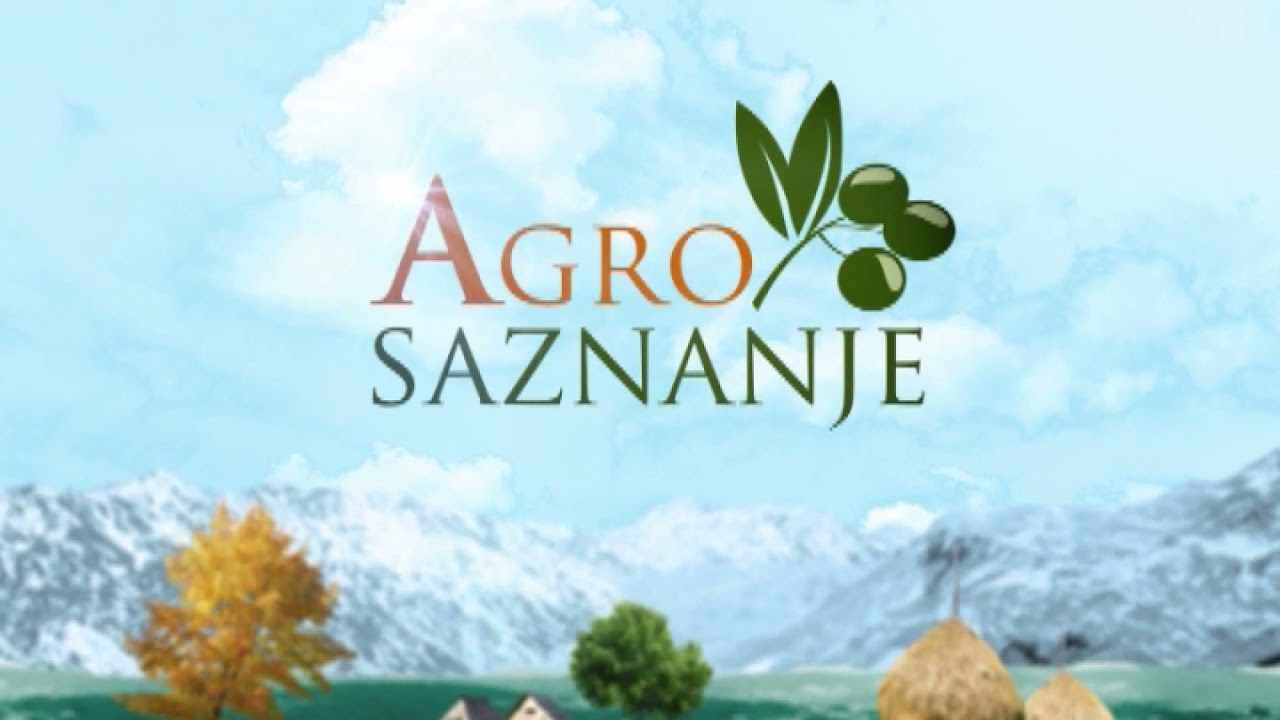 AGROSAZNANJE - Zasadi malina u Andrijevici