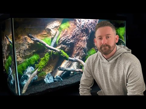 A NEW 90 GALLON CICHLID TANK SETUP ... From Start to Finish!