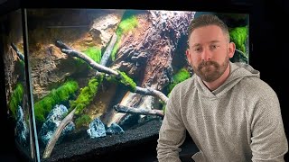 A NEW 90 GALLON CICHLID TANK SETUP ... From Start to Finish!