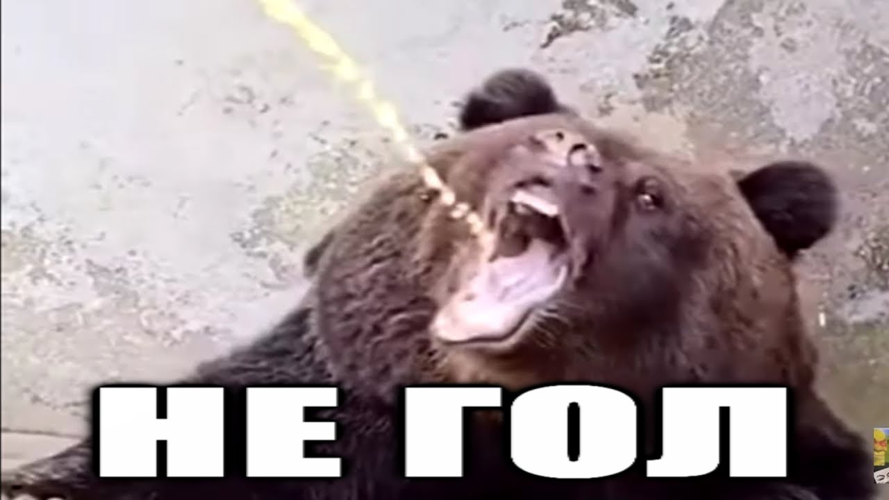 Дворец для фурри. История самого большого... ∎Смотрим ШУЕ расследование Andrboll и общаемся∎