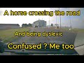 Horsegate and dyslexia, For the first time since I started this channel I&#39;m really not very happy.