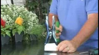Gardening Tools Accessories Using Gardening Hoes