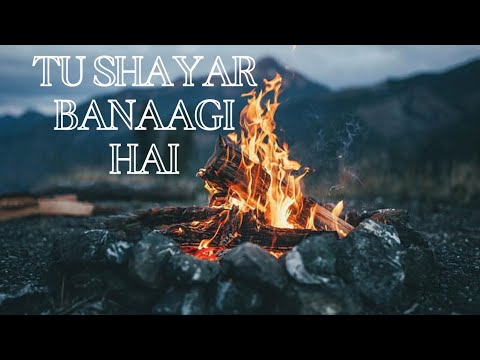 Tu Shayar banaagi Hai /Slowed reverb/Lo-fi/astatic