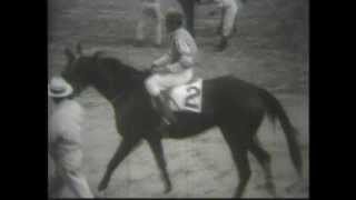 CAMARERO - DOCUMENTAL