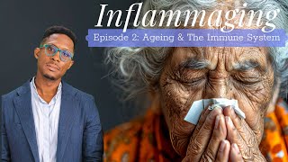 Inflammaging - Episode 2: Ageing \& The Immune System