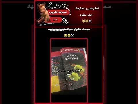 آل غسيل كوازي لي غسيل واقطع اوركا لي غسيل واقطع غسرون اطلق بستيز جيني لتولين وبس اكسبلور فولو