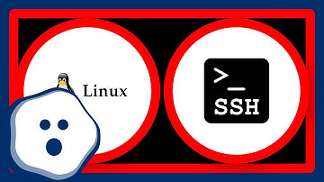 Why are the contents of /dev/shm/ is being removed automatically