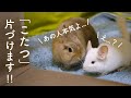 ”楽園最後の日”悲しみのもふもふたちNo.172