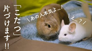 ”楽園最後の日”悲しみのもふもふたちNo.172