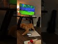 Dog doesn't know the difference between tv and reality #shorts #dogshorts