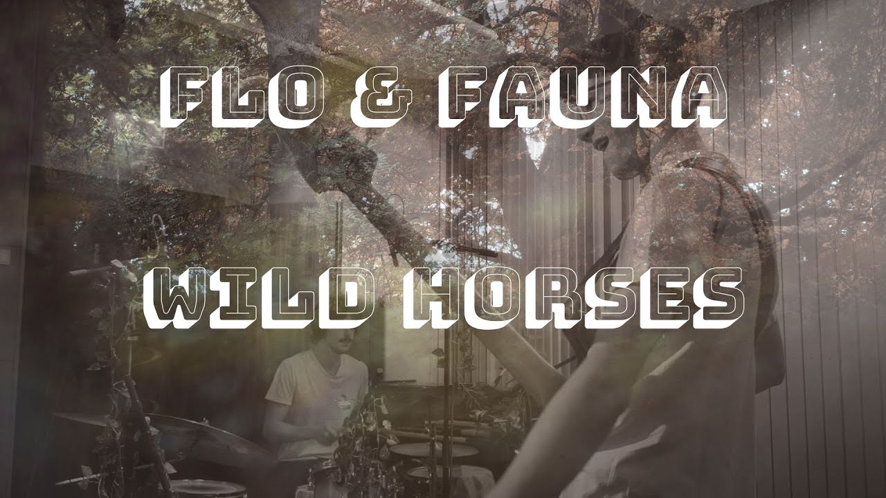 Flo & Fauna - Wild Horses
