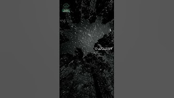 سورة التكاثر • مكية • بصوت هاني الرفاعي | عدد الآيات: 8 #قرآن #Quran #تلاوة #قرآن_كريم #التكاثر