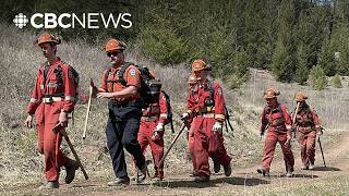 B.C. Wildfire Service's gruelling boot camp attracts thousands of applicants
