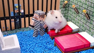 Hamster Escapes from the Minecraft Prison Maze