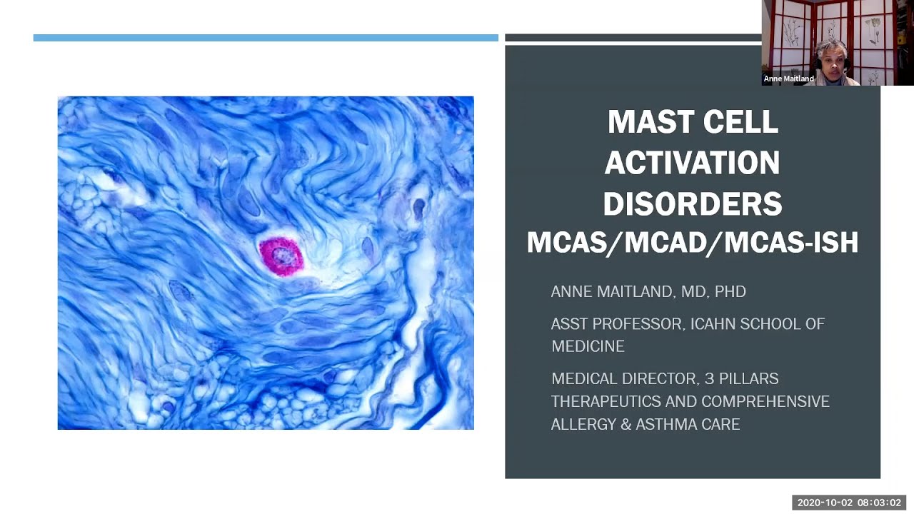 Mast Cell Activation Disorders YouTube
