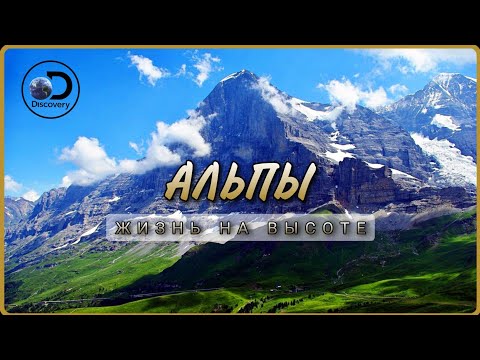 Альпы. Жизнь на высоте. Природа нашей планеты. Дикая природа. Документальные фильмы UHD.