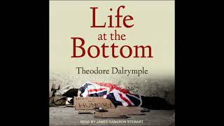 Information Life at the Bottom: The Worldview That Makes the Underclass Audiobook by Theodore Dalrymple Guide