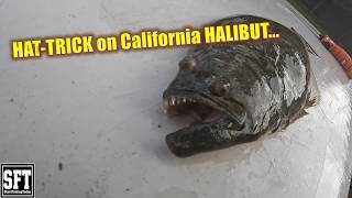HAT-TRICK on California HALIBUT...Brought DINNER home 🎣